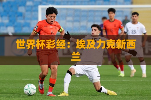 世界杯彩经：埃及力克新西兰