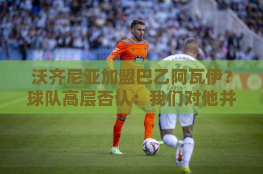 沃齐尼亚加盟巴乙阿瓦伊?球队高层否认:我们对他并不感兴趣 沃齐尼亚加盟巴乙阿瓦伊?球队高层否认:我们对他并不感兴趣
