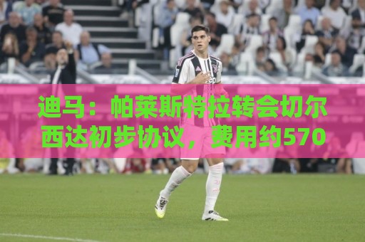 迪马:帕莱斯特拉转会切尔西达初步协议,费用约5700万+300万欧 迪马:帕莱斯特拉转会切尔西达初步协议,费用约5700万+300万欧