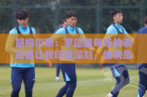 胡梅尔斯：罗德里每场的表现都让我印象深刻，他就是6号位典范