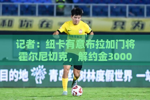 记者:纽卡有意布拉加门将霍尔尼切克,解约金3000万镑但尚未报价 记者:纽卡有意布拉加门将霍尔尼切克,解约金3000万镑但尚未报价