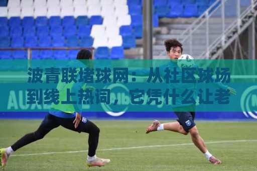 波青联堵球网:从社区球场到线上热词,它凭什么让老球友反复琢磨?🔂最全手机信誉比球网1080P官网无插件低调看冠军走盘 波青联堵球网:从社区球场到线上热词,它凭什么让老球友反复琢磨?🔂最全手机信誉比球网1080P官网无插件低调看冠军走盘