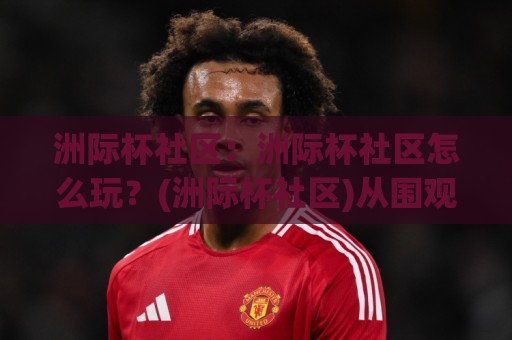 洲际杯社区：洲际杯社区怎么玩？(洲际杯社区)从围观到融入的完整路径【洲际杯社区】🔂线上十大最稳体球网评级时间推荐直播源不卡顿在线观看