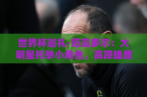 世界杯巡礼-厄瓜多尔：大明星托举小角色，高原雄鹰前景可期！