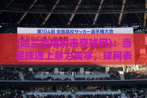 (哈兰德爆射击穿球网):当足球遇上暴力美学,球网表示很受伤【哈兰德爆射击穿球网】 (哈兰德爆射击穿球网):当足球遇上暴力美学,球网表示很受伤【哈兰德爆射击穿球网】