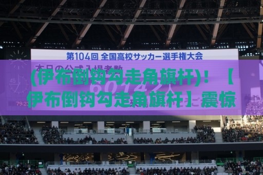 (伊布倒钩勾走角旗杆)！【伊布倒钩勾走角旗杆】震惊全球足坛的魔幻名场面